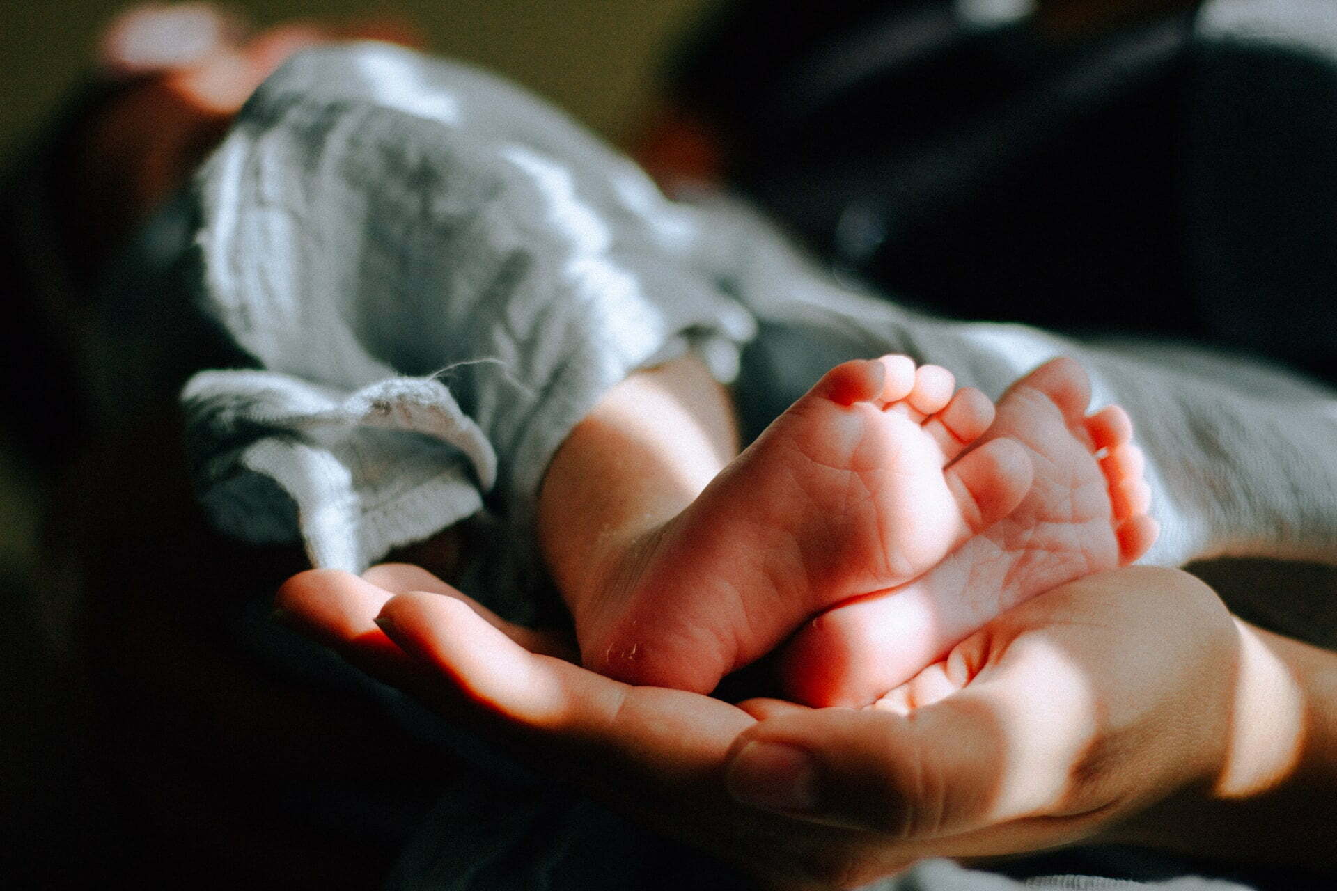 a baby in a person's hand